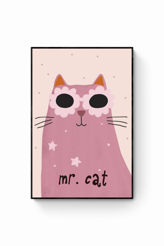 Gato - Lentes Mr Cat