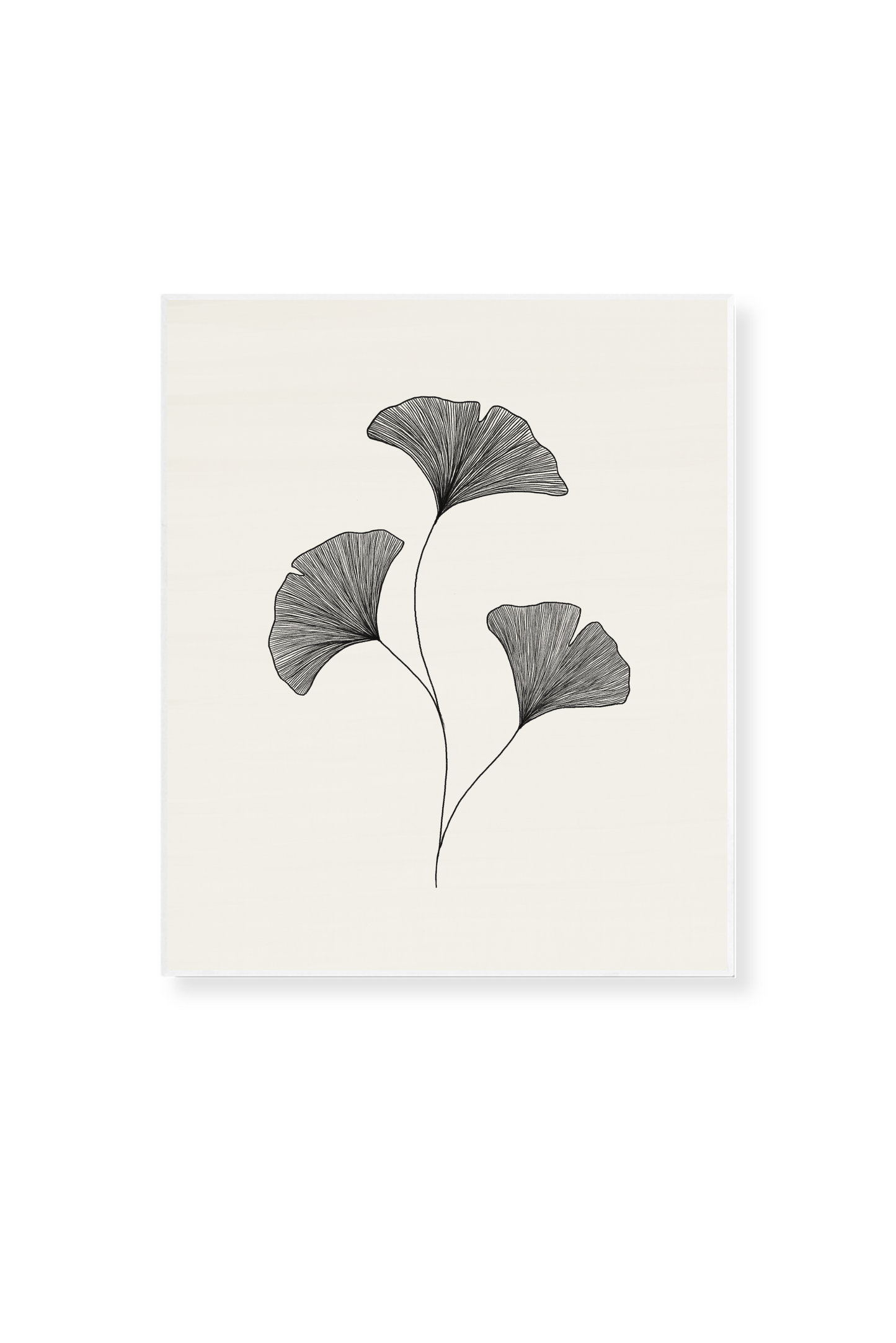 Ginkgo II