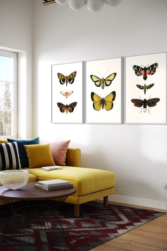 Flutter Set II