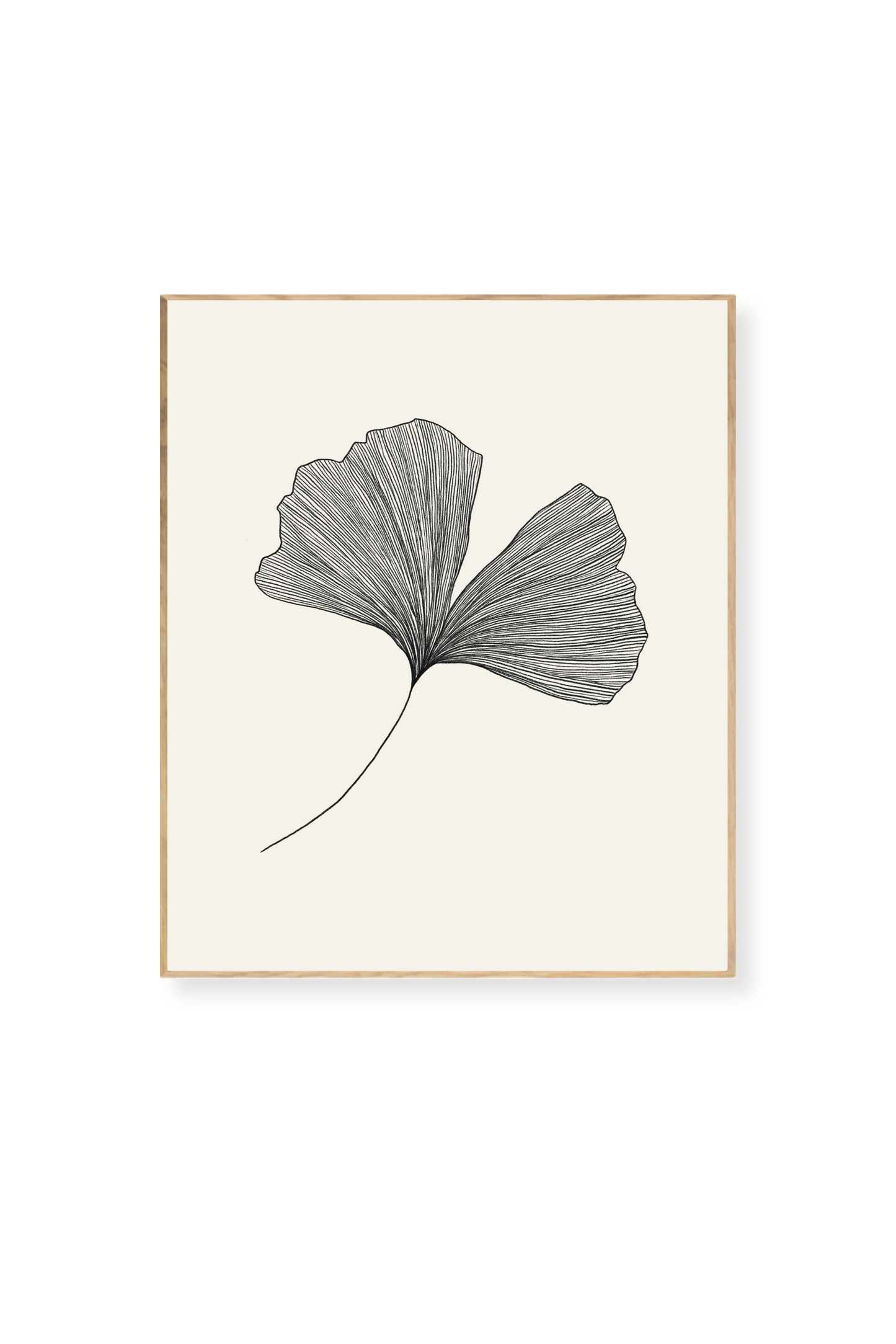 Ginkgo