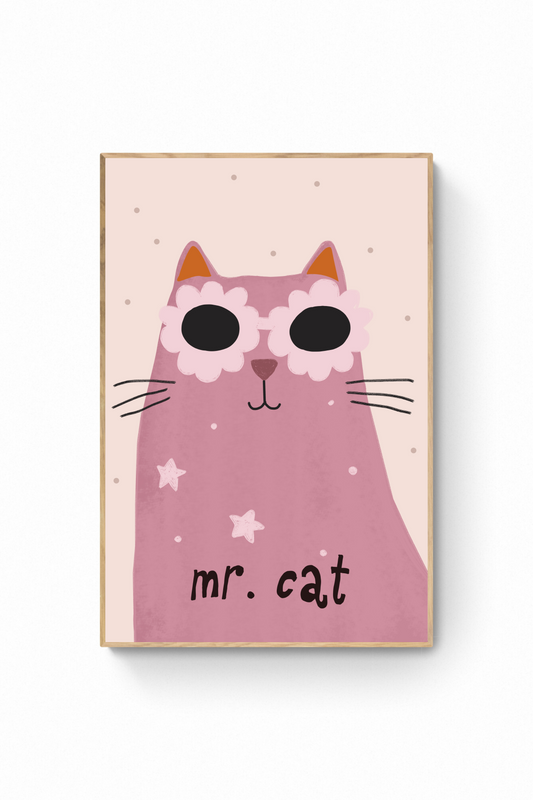 Gato - Lentes Mr Cat