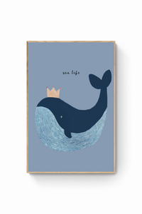 Ballena - Sea Life