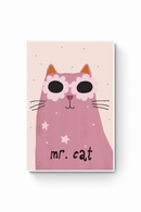 Gato - Lentes Mr Cat