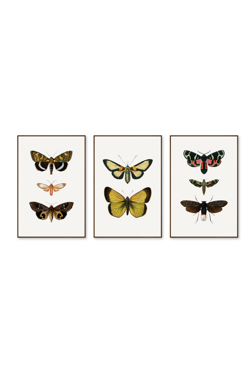 Tríptico Vertical 2:3 | Flutter Set 2