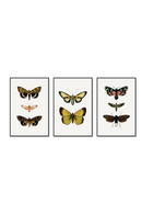 Tríptico Vertical 2:3 | Flutter Set 2