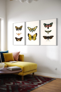 Tríptico Vertical 2:3 | Flutter Set 2