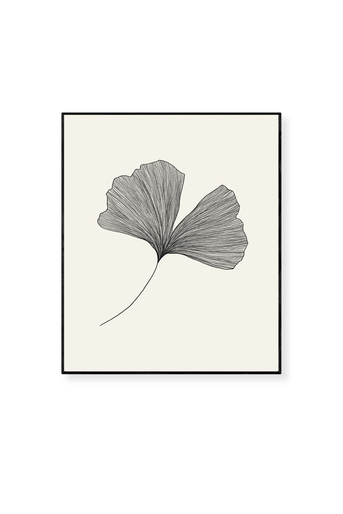 Ginkgo