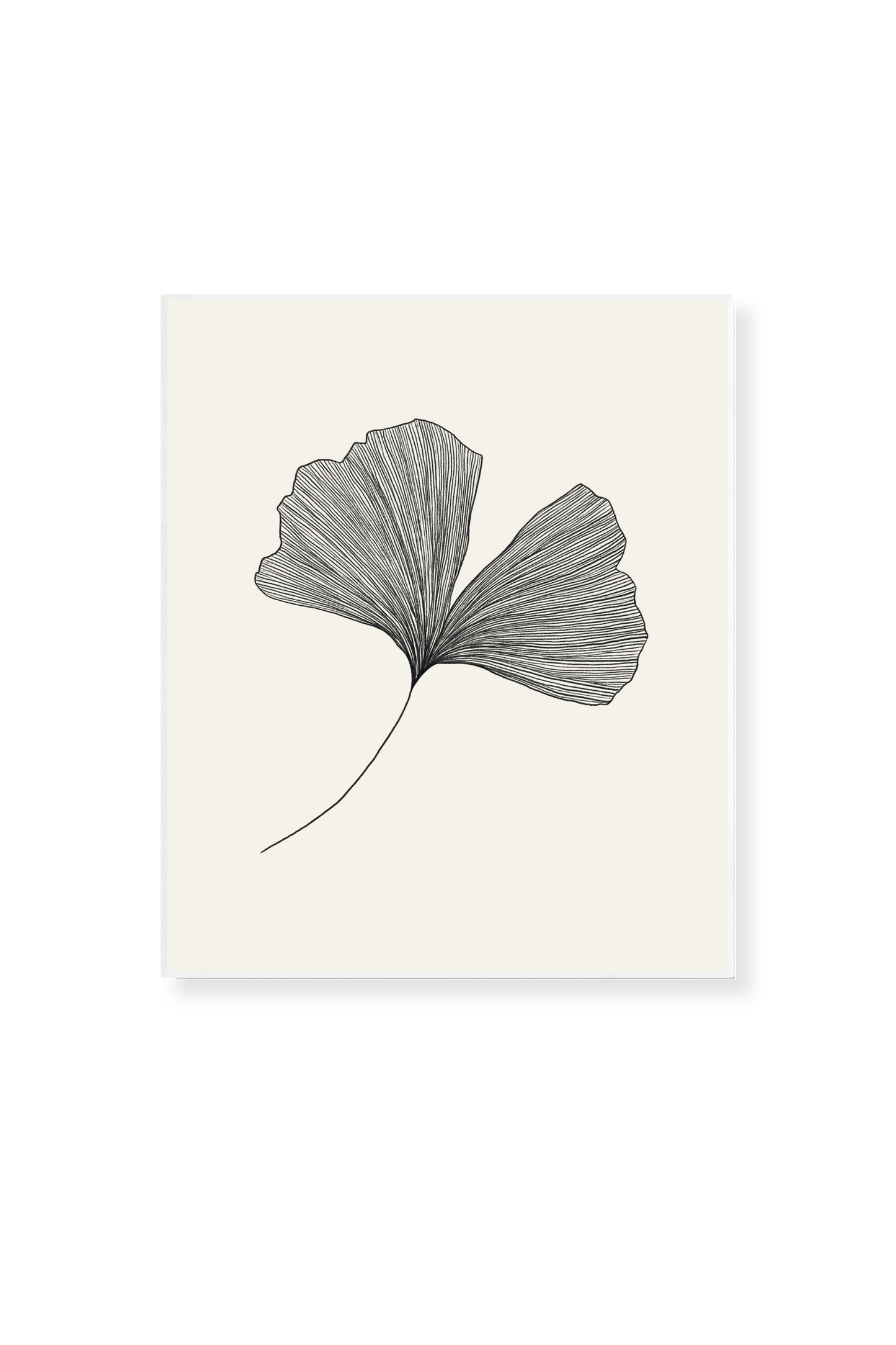 Ginkgo