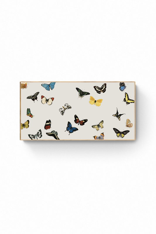 Vol des Papillons
