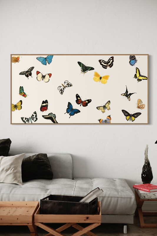 Vol des Papillons