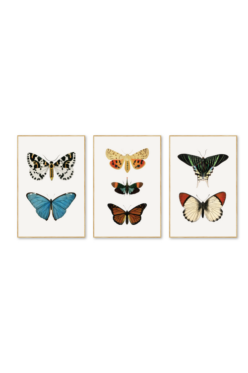 Tríptico Vertical 2:3 | Flutter Set 1