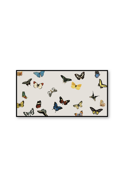 Cuadro | Vol des papillons
