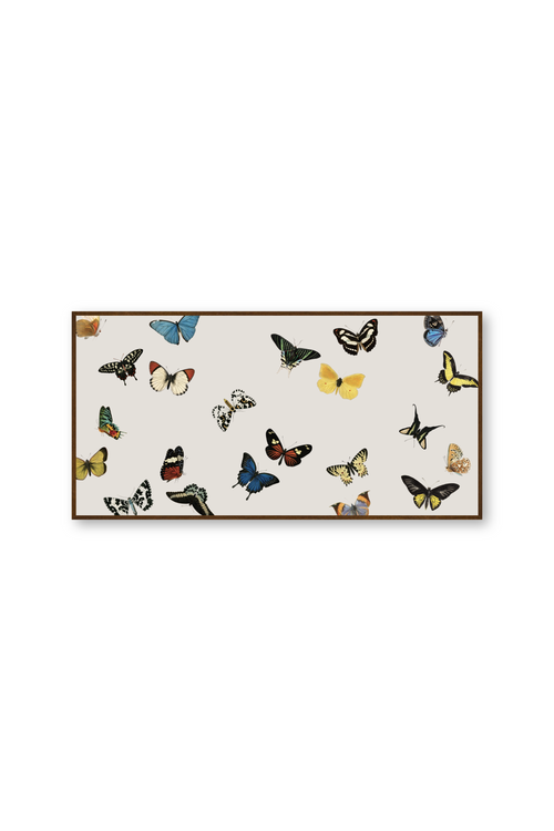 Cuadro | Vol des papillons