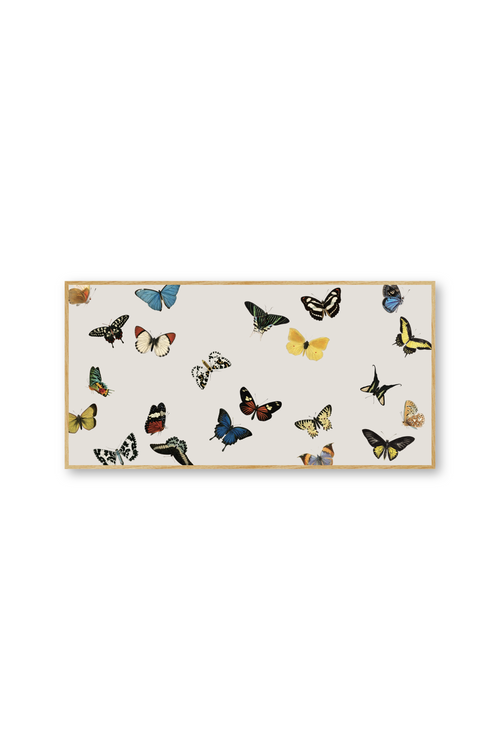 Cuadro | Vol des papillons
