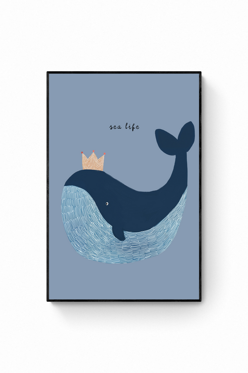 Ballena - Sea Life