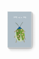 Bicho - Snug as a bug