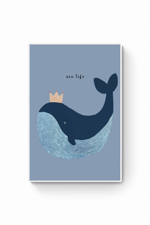 Ballena - Sea Life